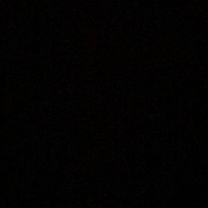 Meet your Posher, Davika